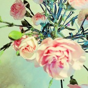 IMG 20160307 162040